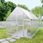 חממה ביתית אסנס