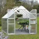 חממה דגם אסנס