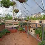 חממה דגם באלנס