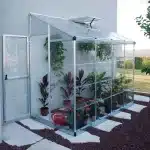 חממה לין טו גדולה