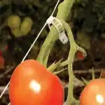 תמונת קטלוג ערכת הדלייה